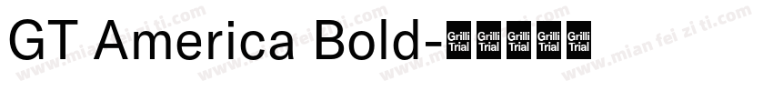 GT America Bold字体转换